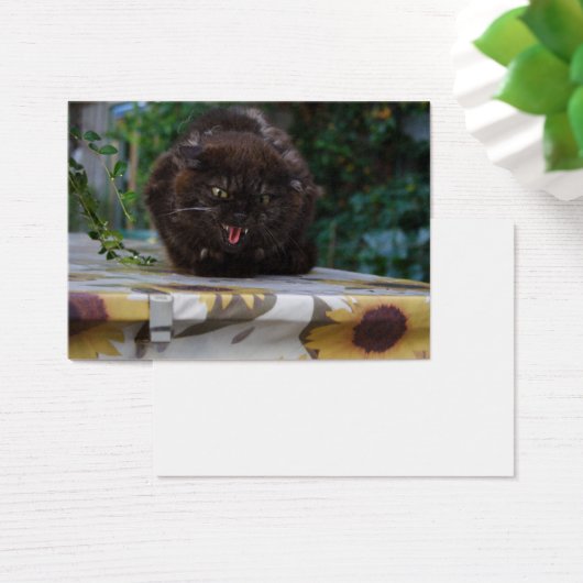 Angry Black Cat (Schreibtisch)