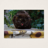 Angry Black Cat (Vorderseite)