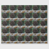 Angry Black Cat Geschenkpapier (Flach)