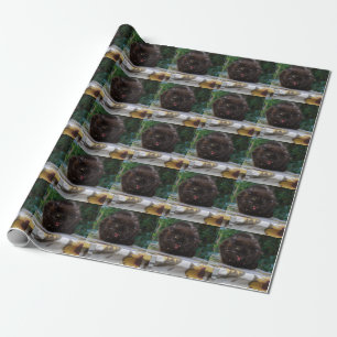 Angry Black Cat Geschenkpapier