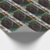 Angry Black Cat Geschenkpapier (Ecke)