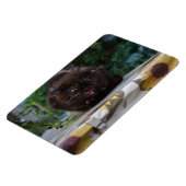 Angry Black Cat Magnet (Linke Seite)