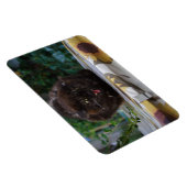 Angry Black Cat Magnet (Rechte Seite)