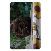 Angry Black Cat Magnet (Vertikal)