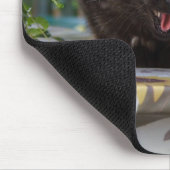 Angry Black Cat Mousepad (Ecke)