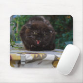 Angry Black Cat Mousepad (Mit Mouse)