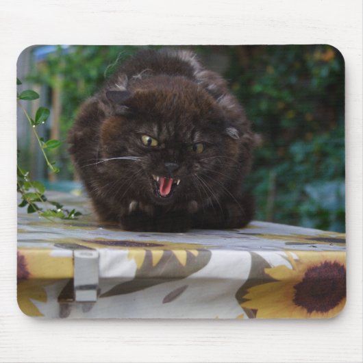 Angry Black Cat Mousepad (Vorne)
