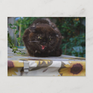 Angry Black Cat Postkarte