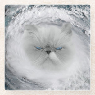 Angry Cat 5 Hurrikan Glasuntersetzer