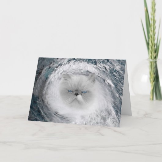 Angry Cat 5 Hurrikan Karte (Vorderseite)