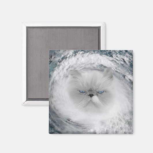 Angry Cat 5 Hurrikan Magnet (Vorderseite/Rückseite)