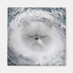 Angry Cat 5 Hurrikan Magnet