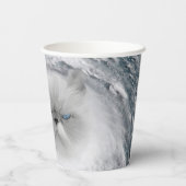 Angry Cat 5 Hurrikan Pappbecher (Rückseite)