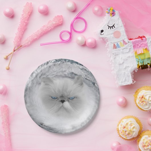 Angry Cat 5 Hurrikan Pappteller (Party)