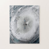 Angry Cat 5 Hurrikan Puzzle (Vertikal)