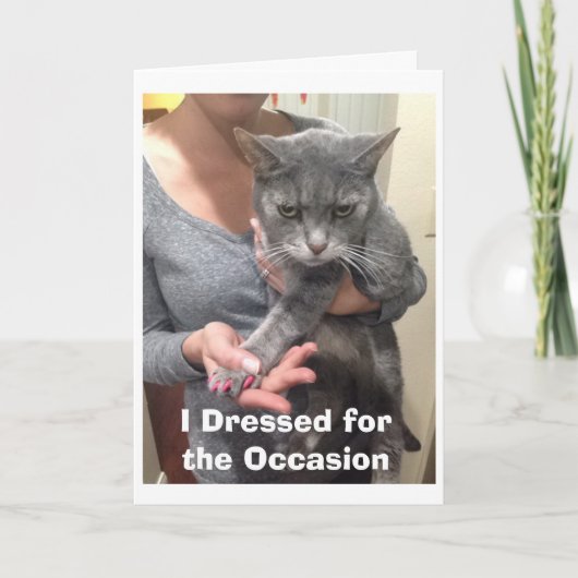 Angry Cat Birthday Card Karte (Vorderseite)