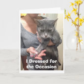 Angry Cat Birthday Card Karte (Gelbe Blume)