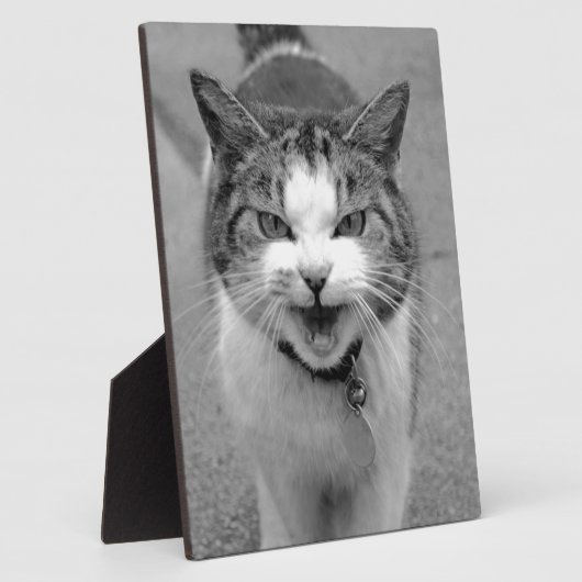 Angry Cat Fotoplatte (Seite)
