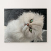 Angry Cat Funny Pet Puzzle (Horizontal)