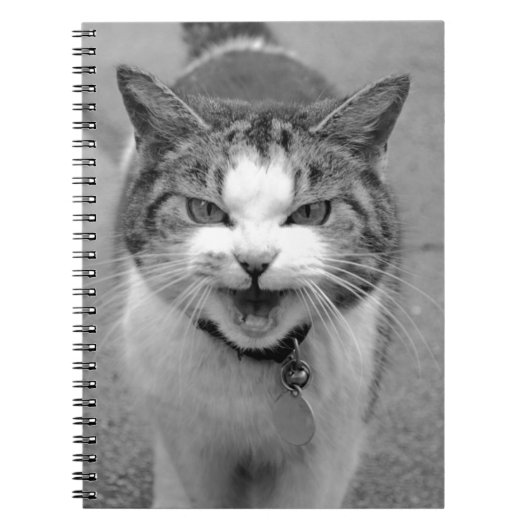 Angry Cat Notizblock (Vorderseite)