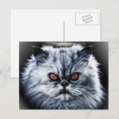 Angry Cat Postcard Postkarte (Vorne/Hinten)
