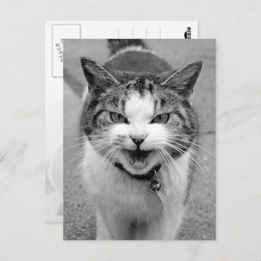 Angry Cat Postkarte (Vorne/Hinten)