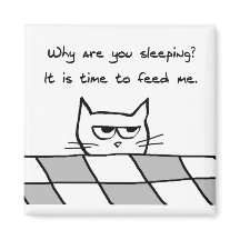 Angry Cat Will Ihnen aus dem Bett