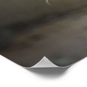 Angry Cougar Poster (Ecke)