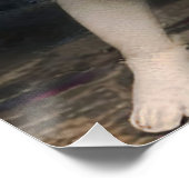 Angry Cupid Poster (Ecke)