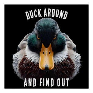 Angry Duck sagt "Duck Around and Find Out" Poster