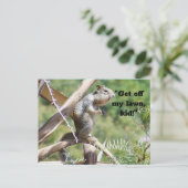 Angry Eichhörnchen Postkarte (Stehend Vorderseite)