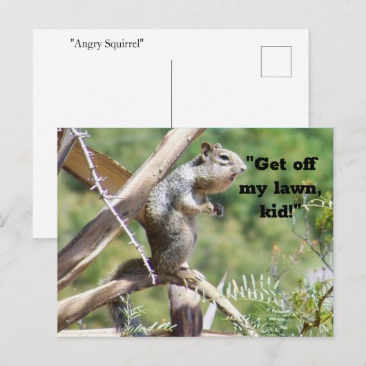 Angry Eichhörnchen Postkarte (Vorne/Hinten)