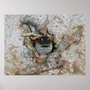 Angry Eyes Poster