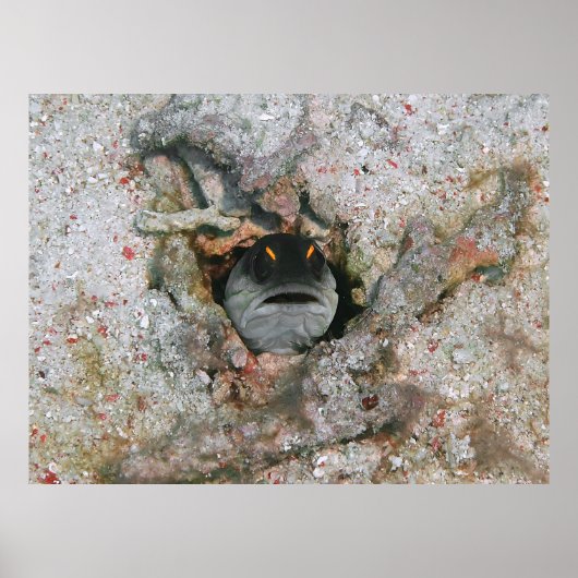Angry Eyes Poster (Vorne)