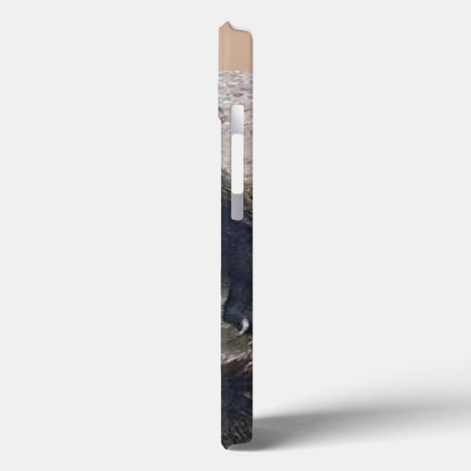 Angry Grizzly Bear Case-Mate iPhone Hülle (Rückseite / Links)