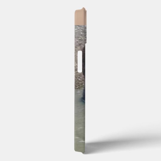 Angry Grizzly Bear Case-Mate iPhone Hülle (Rückseite / Rechts)