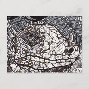 Angry Iguana Postkarte