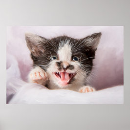 Angry Kitten mit Ölfarbe Poster