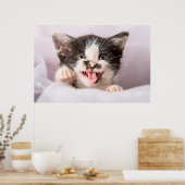 Angry Kitten Poster (Küche)
