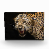 Angry Leopard Fotoblock (Vorderseite)