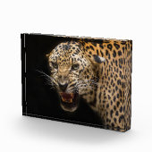 Angry Leopard Fotoblock (Rechts)