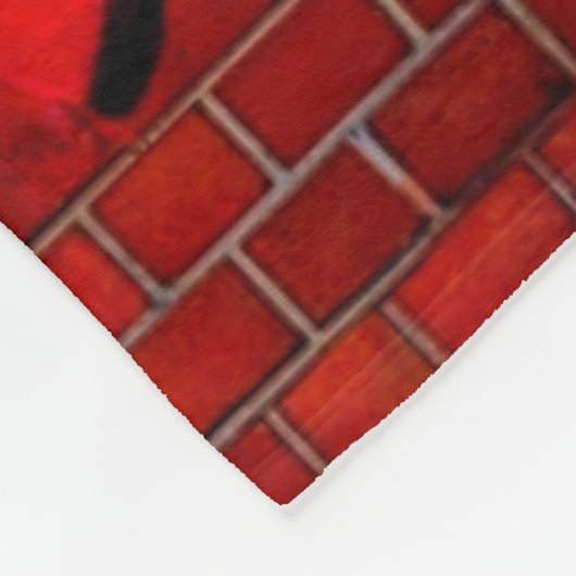 Angry Lion Fleecedecke (Ecke)