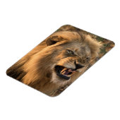 Angry LION Kühlschrank Magnet DEINE Fotovorlage (Linke Seite)