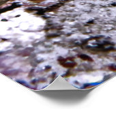 Angry Little Eel Poster (Ecke)