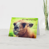 Angry Llama Humour 40. Geburtstag Karte (Vorderseite)