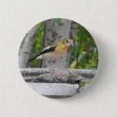 Angry Looking Bird Button (Vorderseite)