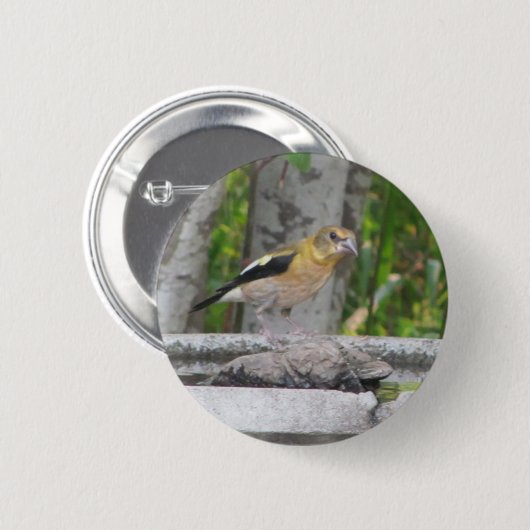 Angry Looking Bird Button (Vorne & Hinten)