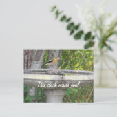 Angry Looking Bird mit Ihrem Satz Postkarte (Stehend Vorderseite)