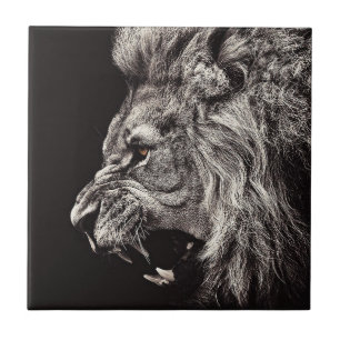 Angry Male Lion Fliese