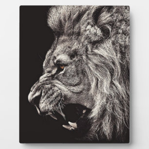 Angry Male Lion Fotoplatte